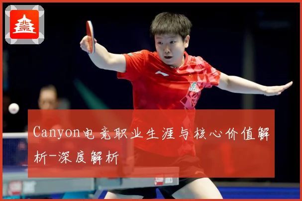 Canyon电竞职业生涯与核心价值解析-深度解析