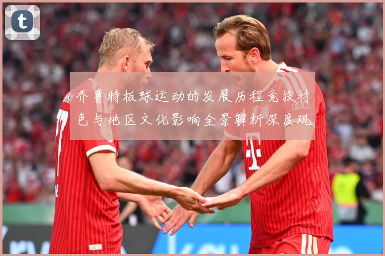 乔鲁特板球运动的发展历程竞技特色与地区文化影响全景解析深度观察-深度解析