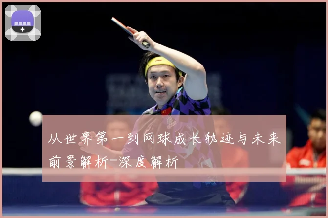 从世界第一到网球成长轨迹与未来前景解析-深度解析