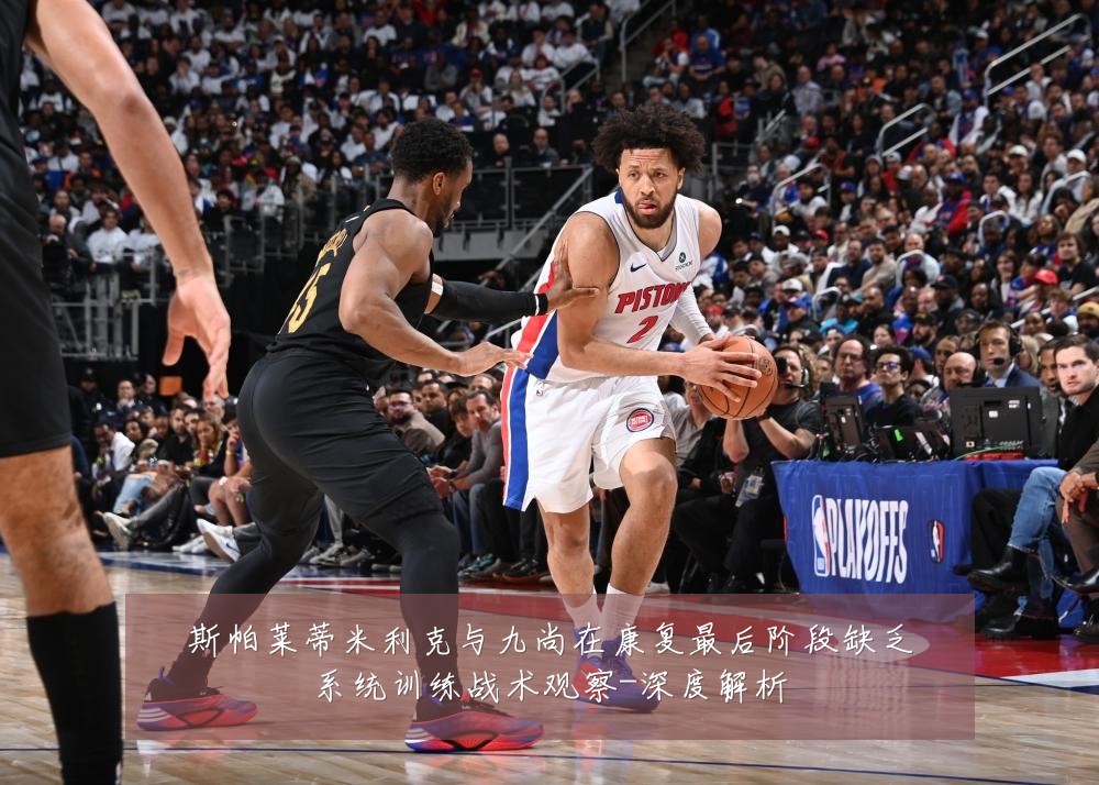 斯帕莱蒂米利克与九尚在康复最后阶段缺乏系统训练战术观察-深度解析